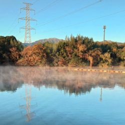 大安トラウトレイク釣果